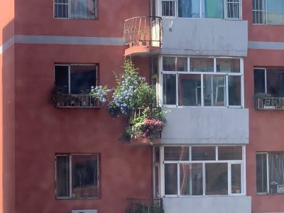 计算机