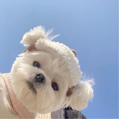 无