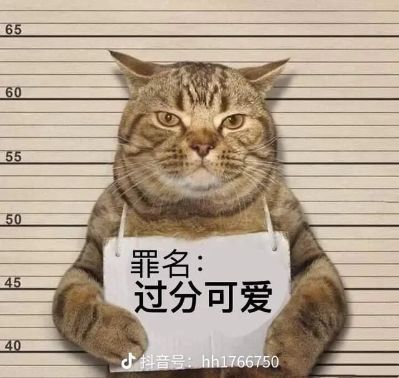 木饰面板