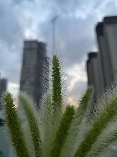 医学
