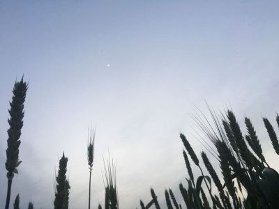 安装空调