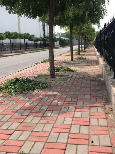 庭院绿化一体