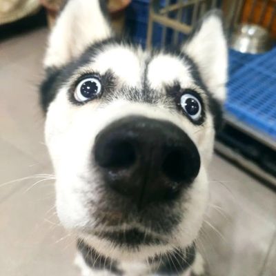 装修