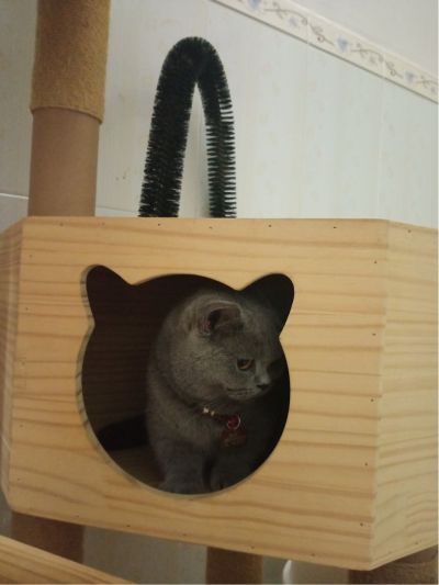 家具安装