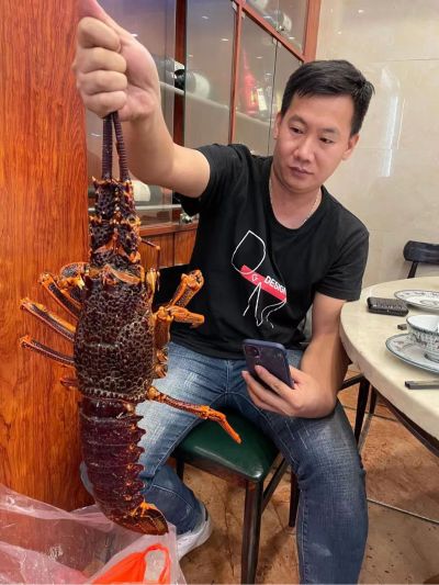 安装维修检查