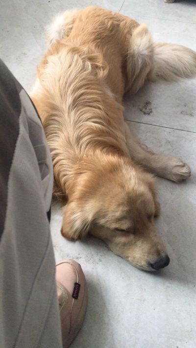 维修家装