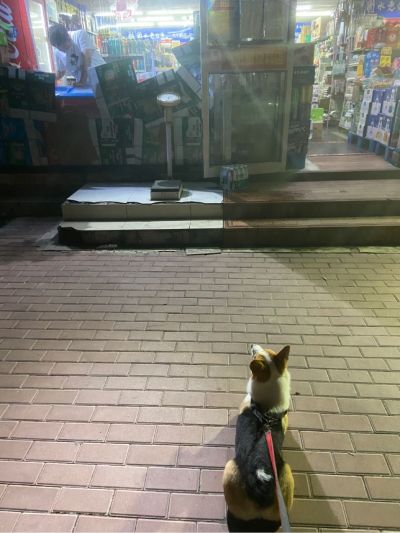 广告安装广告安装