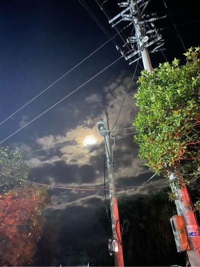 个体