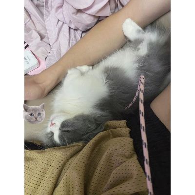 无