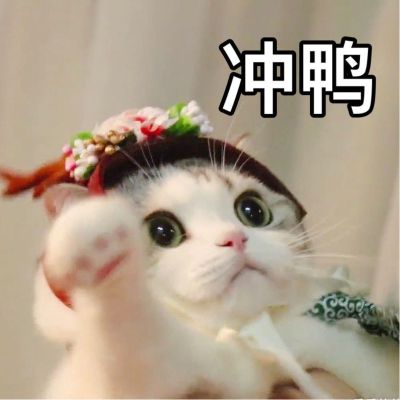 墙纸墙布施工