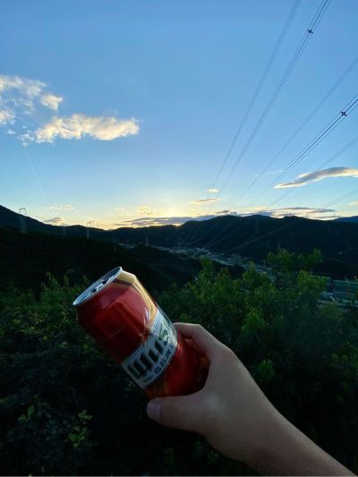 咨询