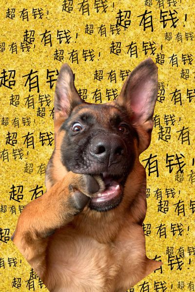 装修