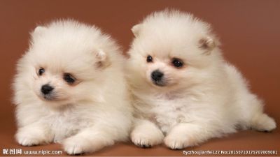 水电维修安装灯具开关洁具