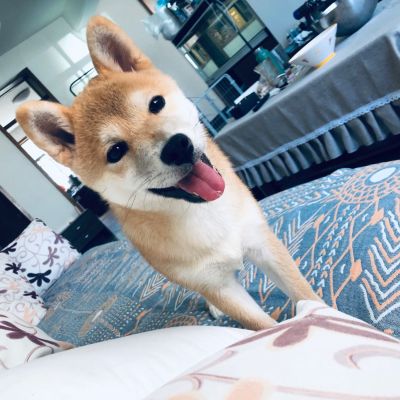 无
