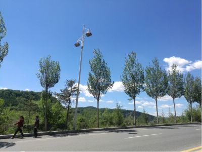广告