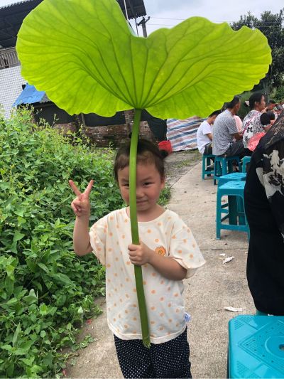广告制作安装