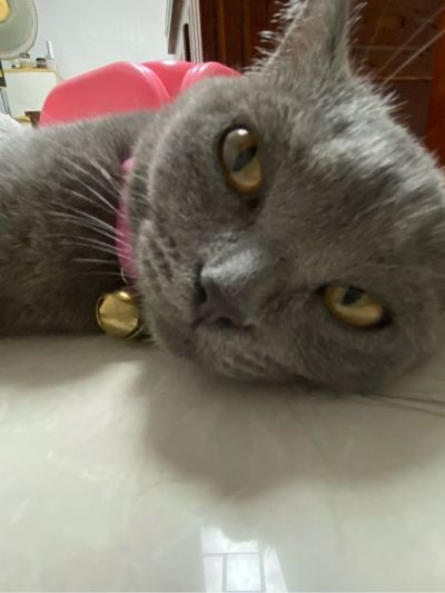 不锈钢门窗