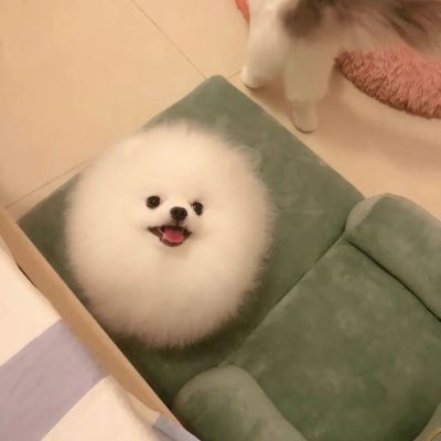 无