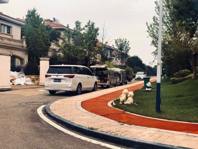 专业贴地板砖专业贴地板砖