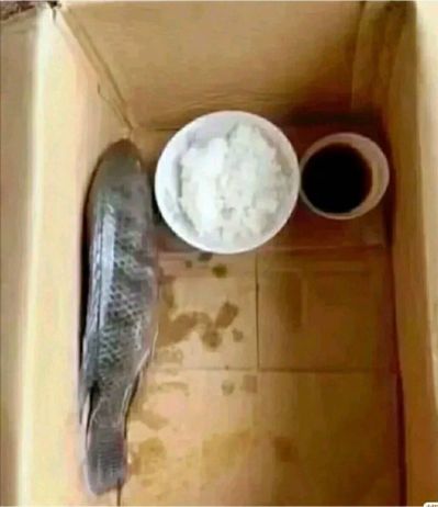 卫生间的三件套，厨房的吊柜，房间的衣柜等想拆下来