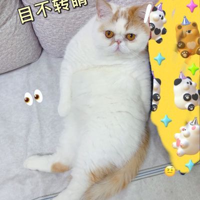 跑腿装卸