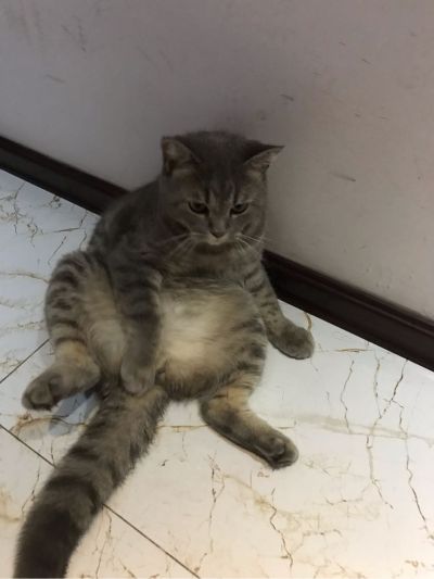 安装家具家私