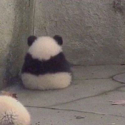 水电安装跑腿