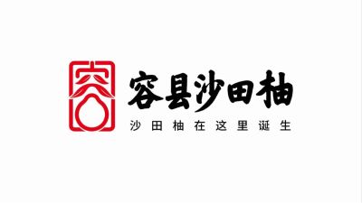 水电安装维修