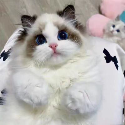 家具家电安装