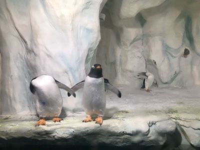 水电家电维修无