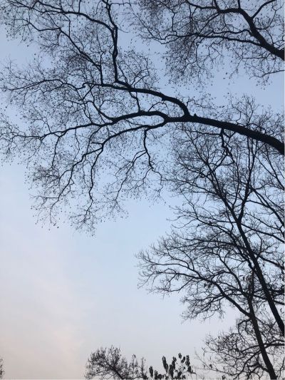 家政建筑
