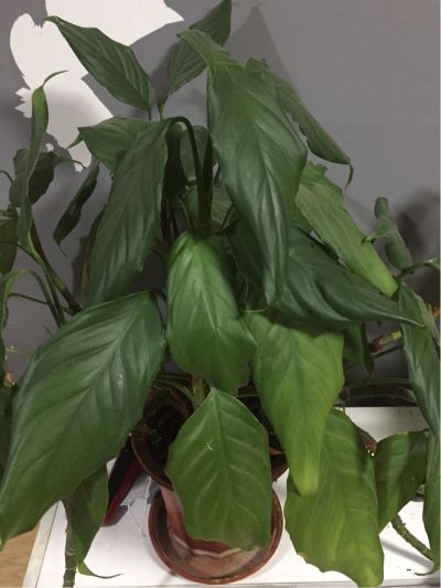 水电木工装修所有装修装修装修所有活