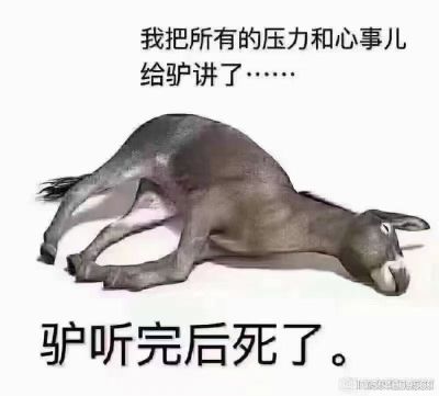 安装工