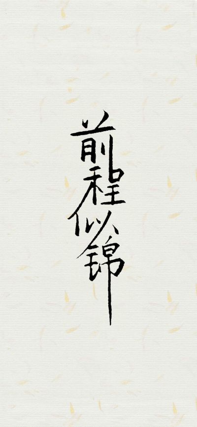 专业安装