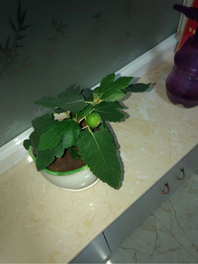 安装家具家电无