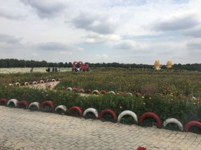 电路维修电气维修