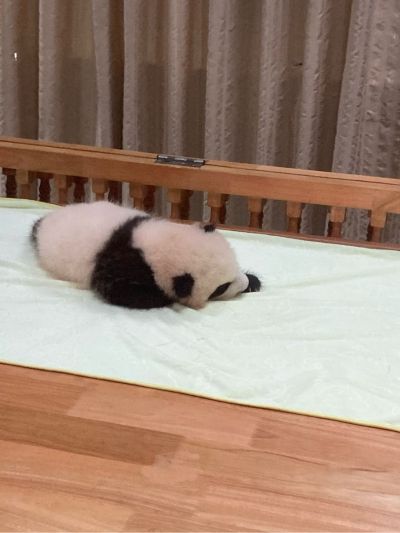 无