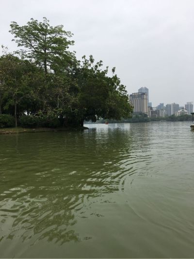 泥水工