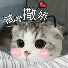 锁具安装