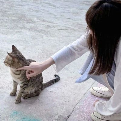 房屋设计