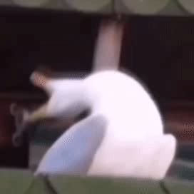 水电