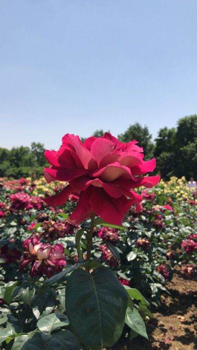 热水器油烟机无
