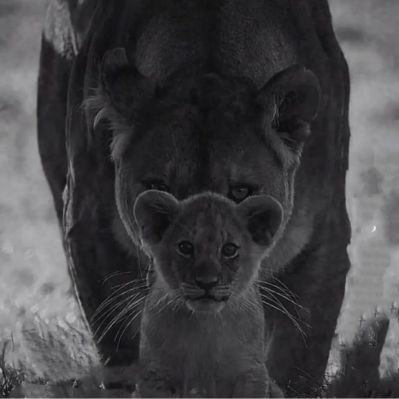 力工搬运家政服务