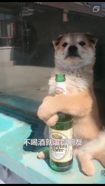 涂料