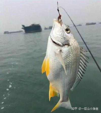 水电安装维修水电安装维修