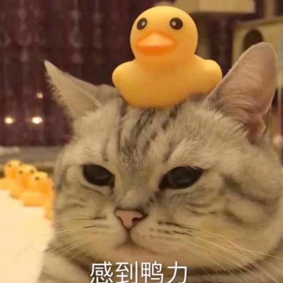 内外墙涂料