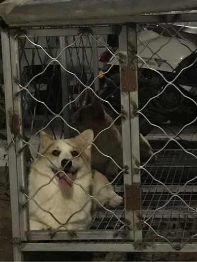 文员自媒体编辑视频