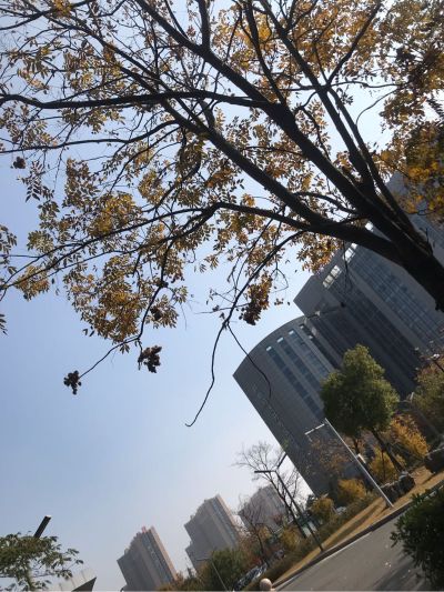 安装衣柜橱柜