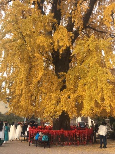 瓷砖美缝专业美缝