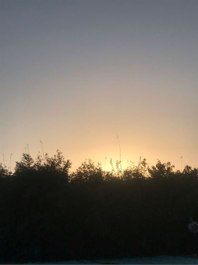 专业绑扎